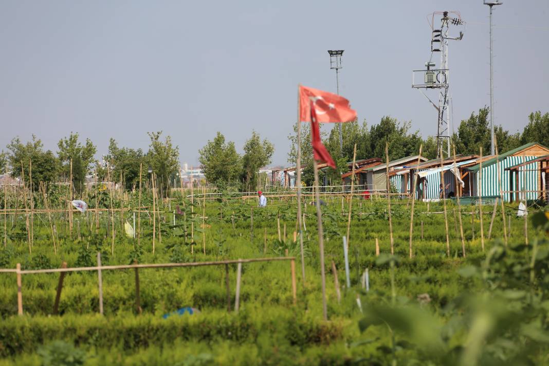 Meram Belediyesi Hobi Bahçesi başvurusu 2025 4